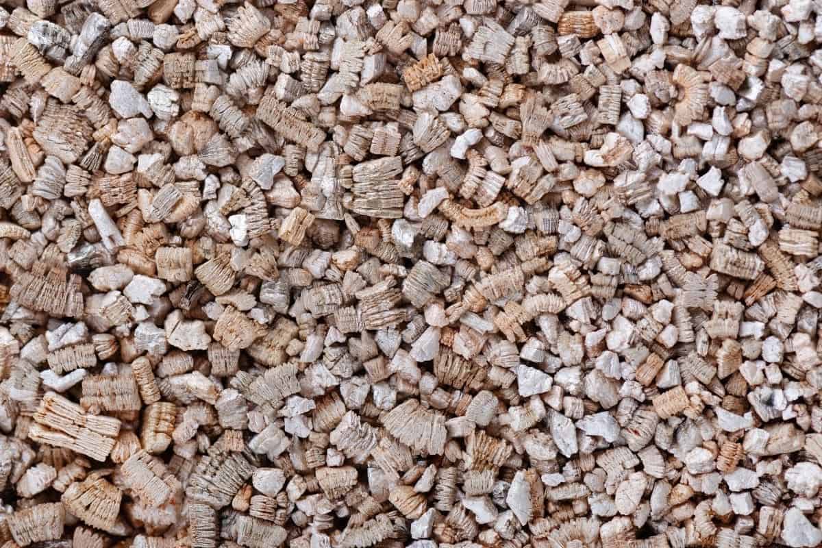 Styrofoam in Planter Bottoms Drawbacks and Better Options thegrowingleaf