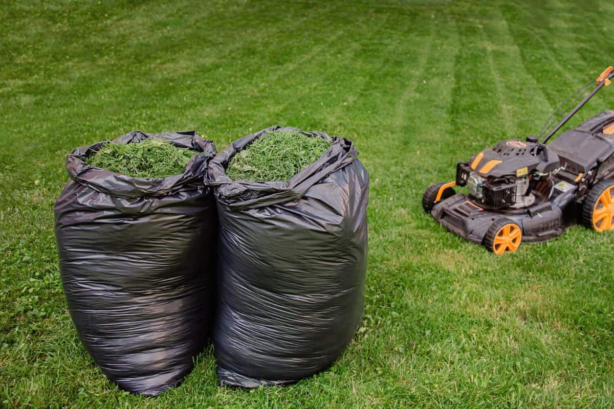 How to Store Unused Bagged and Bulk Mulch for Gardening thegrowingleaf