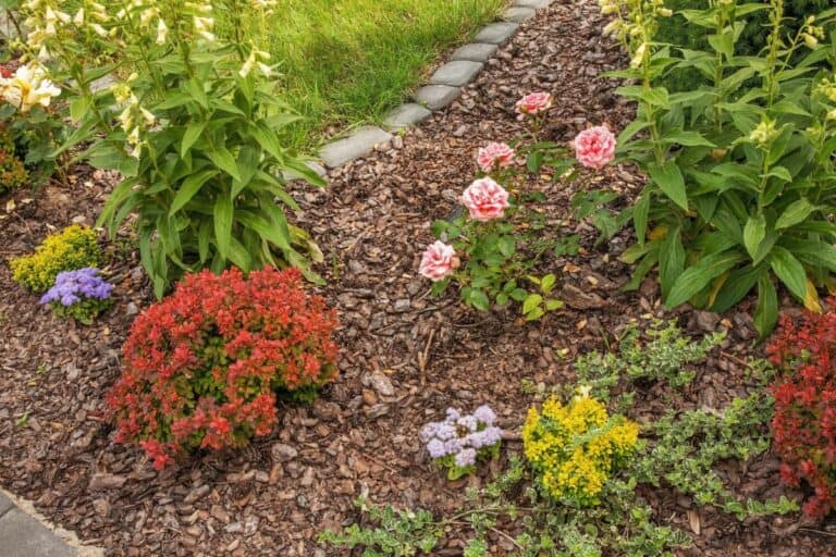 The Benefits of Using Organic Mulch in Gardening Explained