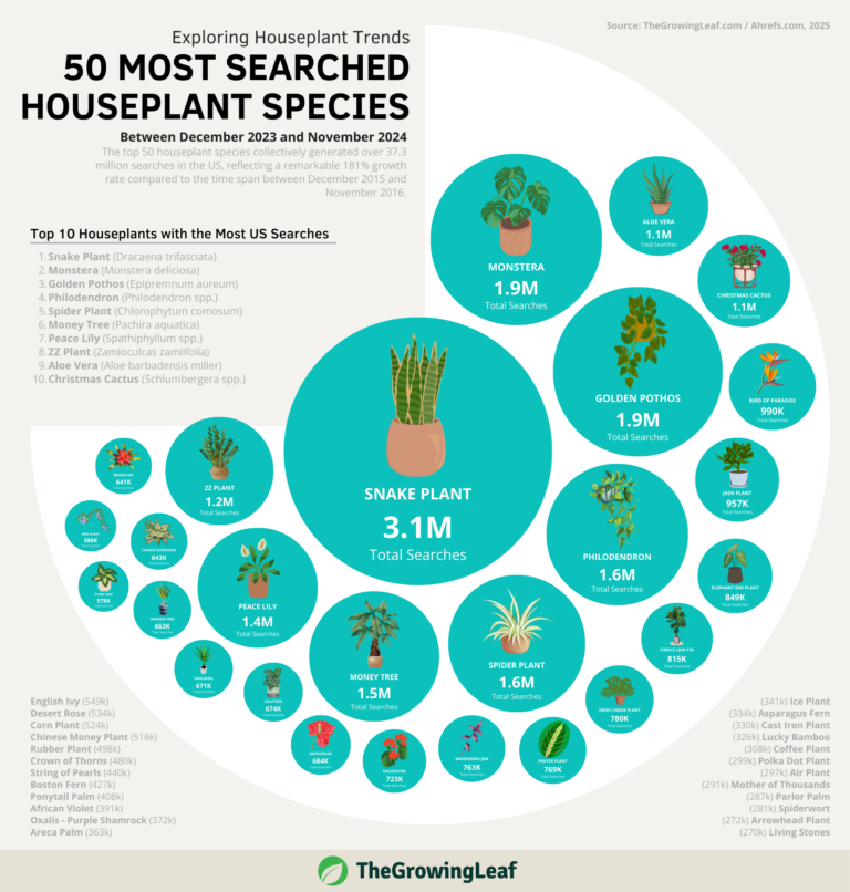 Popular US Houseplants Analysis: 50 Most Searched Species